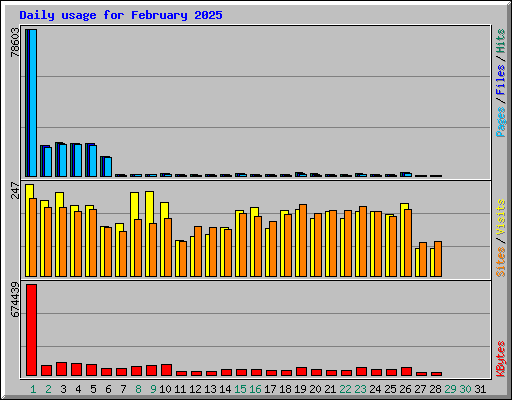 Daily usage for February 2025