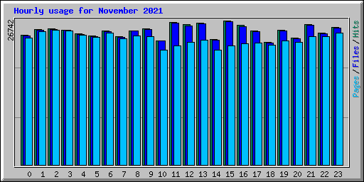 Hourly usage for November 2021