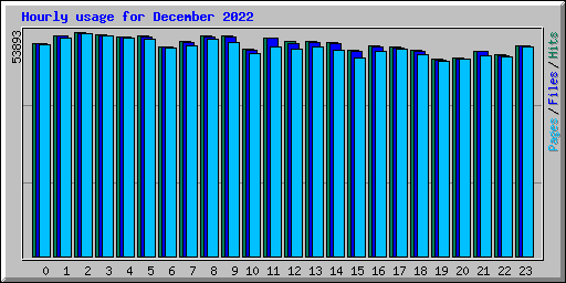Hourly usage for December 2022