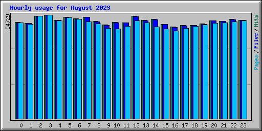 Hourly usage for August 2023