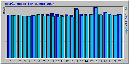 Hourly usage for August 2024