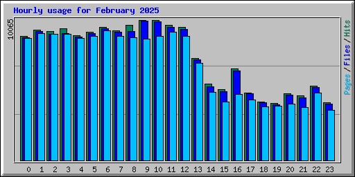 Hourly usage for February 2025
