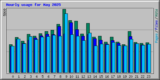 Hourly usage for May 2025