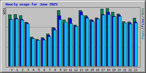Hourly usage for June 2025