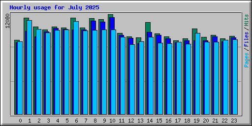 Hourly usage for July 2025