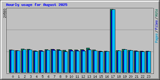 Hourly usage for August 2025