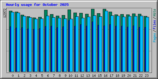 Hourly usage for October 2025