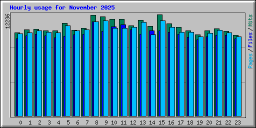 Hourly usage for November 2025