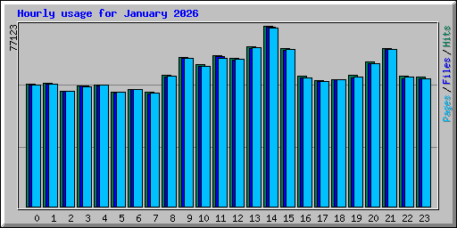 Hourly usage for January 2026