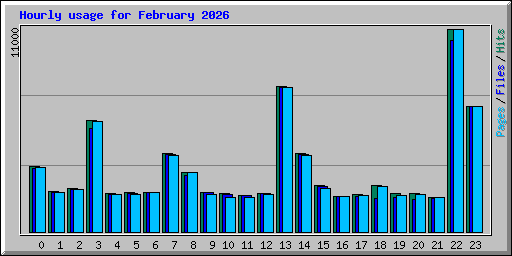 Hourly usage for February 2026