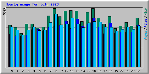 Hourly usage for July 2026